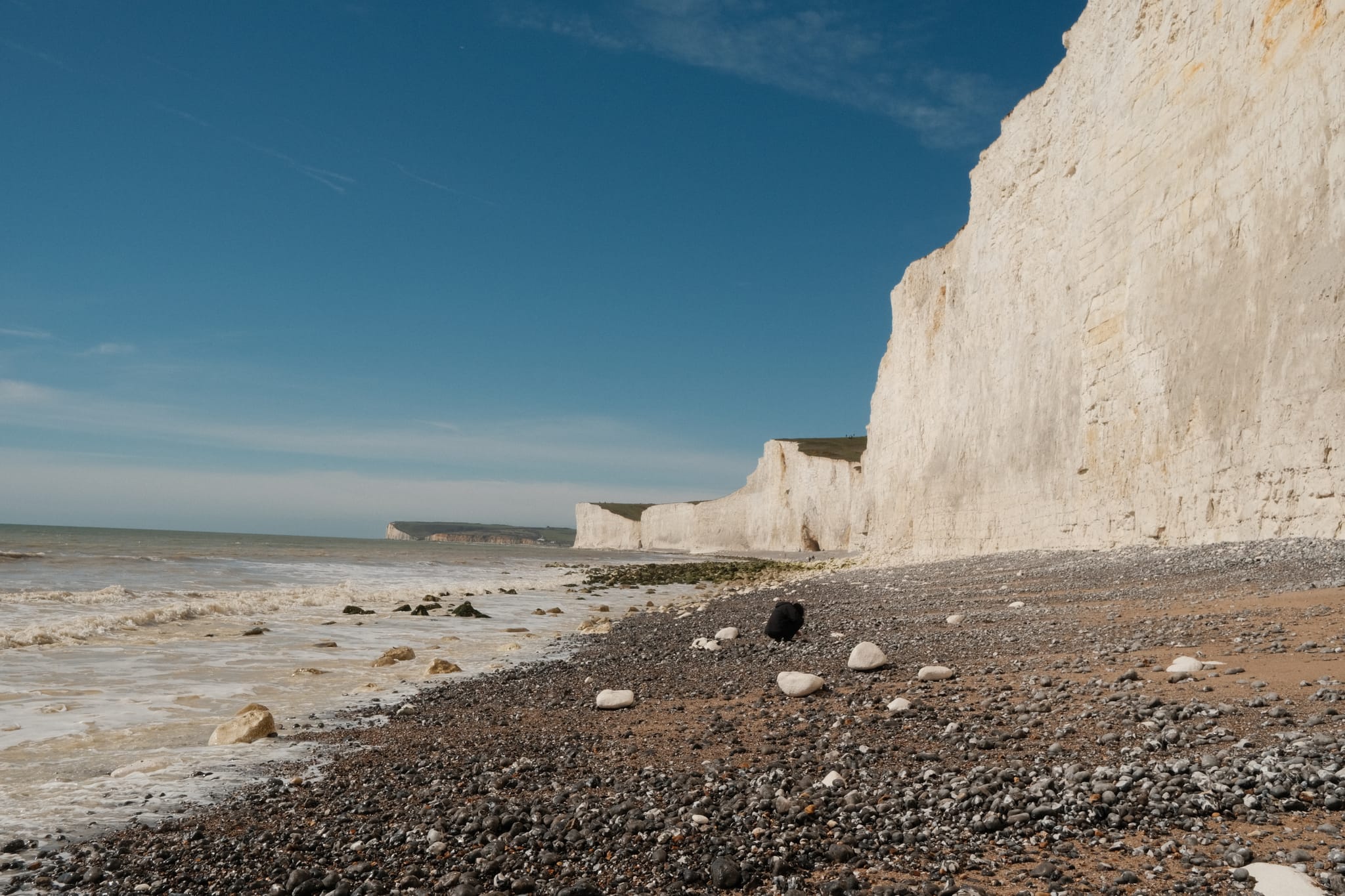 Seven Sisters, Clear Day — A lone gull on the tideline.