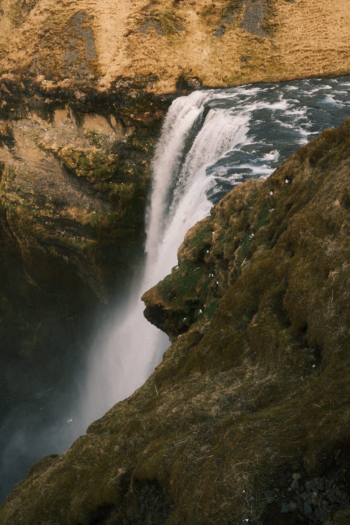 Brink of the Falls — Water roars over the lip into mist.